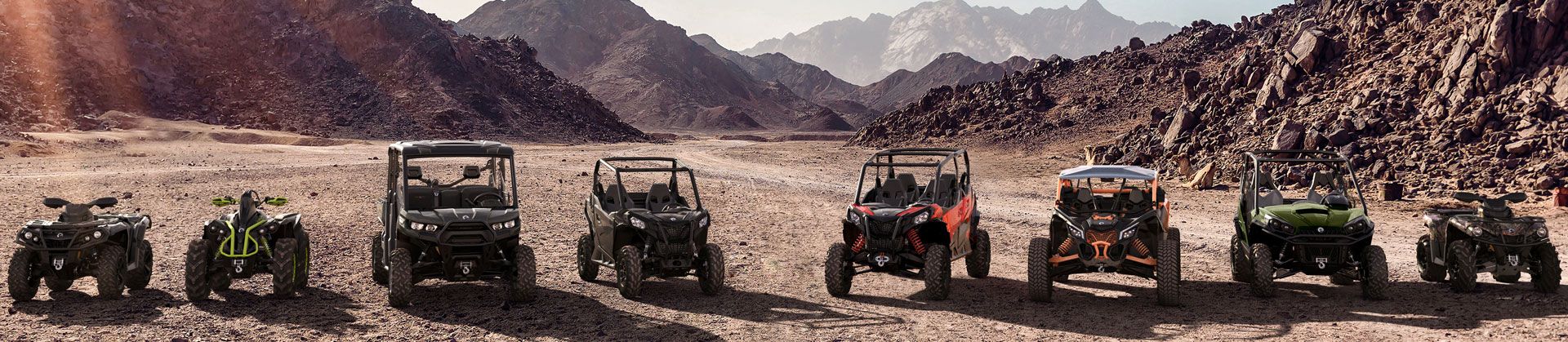 buggy y quad segunda mano