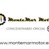 Montemar Motor MODULO ELECTRONICO DE PACK X.jpg
