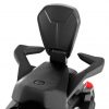 Montemar Motor RESPALDO PARA PASAJERO PLEGABLE RYKER.jpg