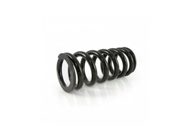 Montemar Motor MUELLES TRASEROS USO BIPLAZA PARA RYKER.jpg