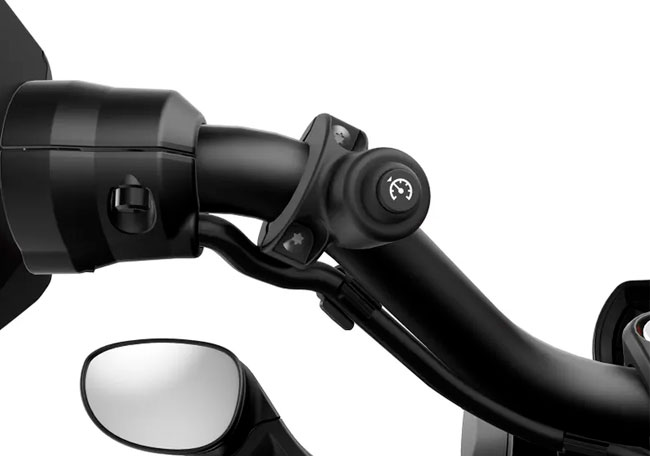 Control Velocidad Crucero Ryker | Regulador de velocidad